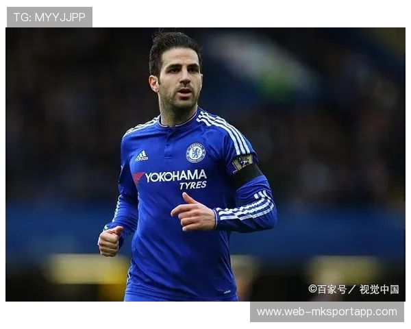 切尔西重建后腰新篇章：未来可期的中场核心布局